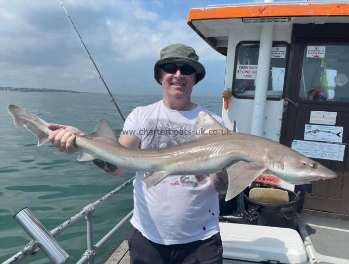 11 lb Smooth-hound (Common) by Unknown