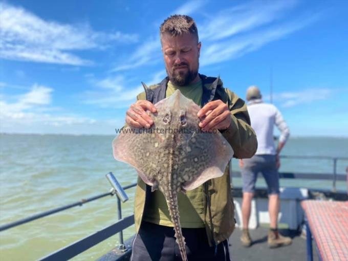 6 lb Thornback Ray by Unknown