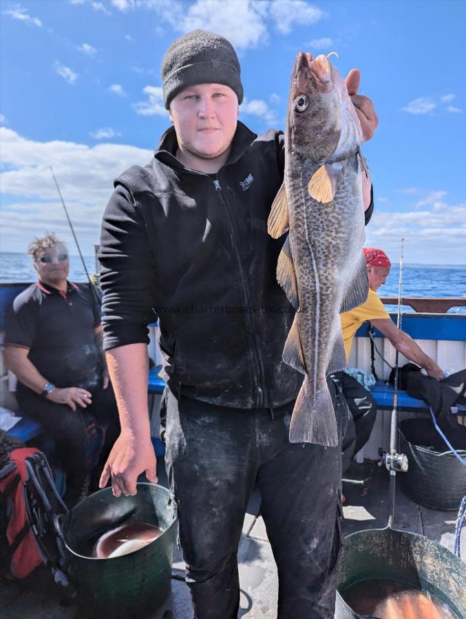 7 lb 9 oz Cod by Unknown