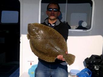 9 lb Brill by Unknown