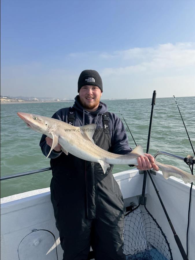 11 lb Smooth-hound (Common) by Unknown