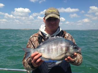 2 lb 8 oz Black Sea Bream by Unknown