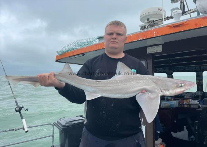 10 lb Starry Smooth-hound by Unknown