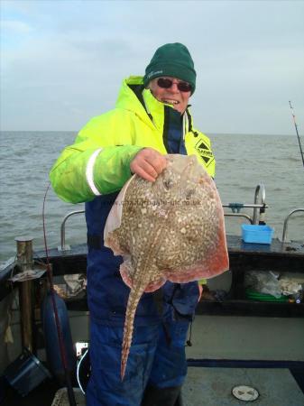 9 lb Thornback Ray by OJ