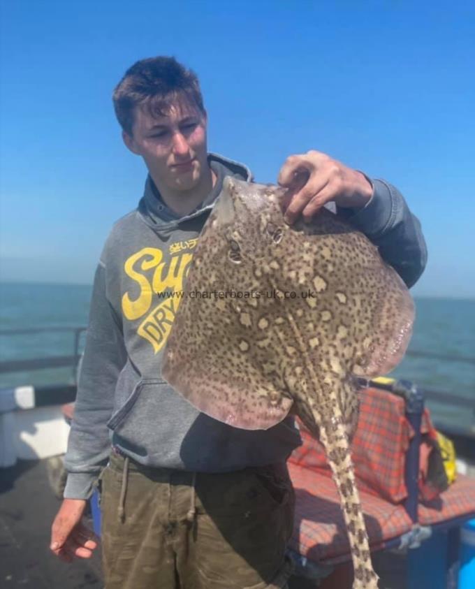 6 lb Thornback Ray by Unknown