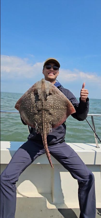 10 lb Thornback Ray by Dan