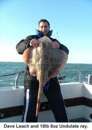 18 lb 8 oz Undulate Ray by Dave Leach