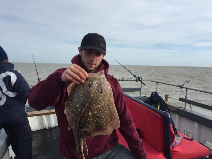 5 lb 4 oz Thornback Ray by Unknown