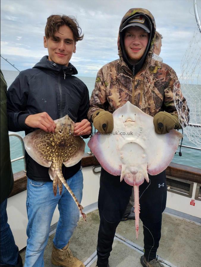 6 lb 7 oz Thornback Ray by Unknown