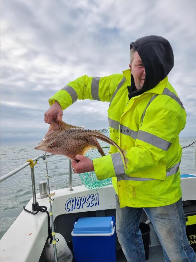 3 lb 9 oz Spotted Ray by Terry Crane