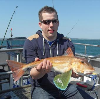 4 lb 10 oz Tub Gurnard by Josh Grant Basingstoke