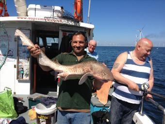 17 lb 5 oz Bull Huss by Billy Spencer