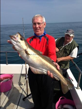 7 lb 8 oz Pollock by Anthony Parry