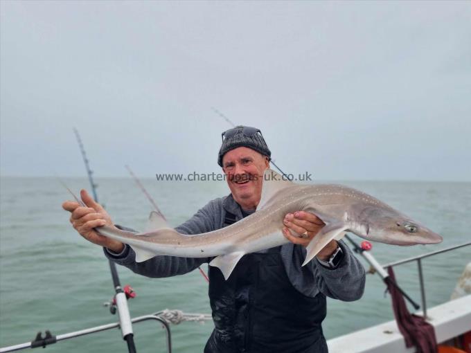 13 lb 6 oz Starry Smooth-hound by John the feet