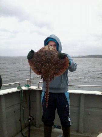 8 lb 8 oz Thornback Ray by Daniel Reilly