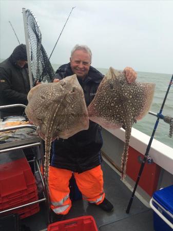 8 lb Thornback Ray by Unknown