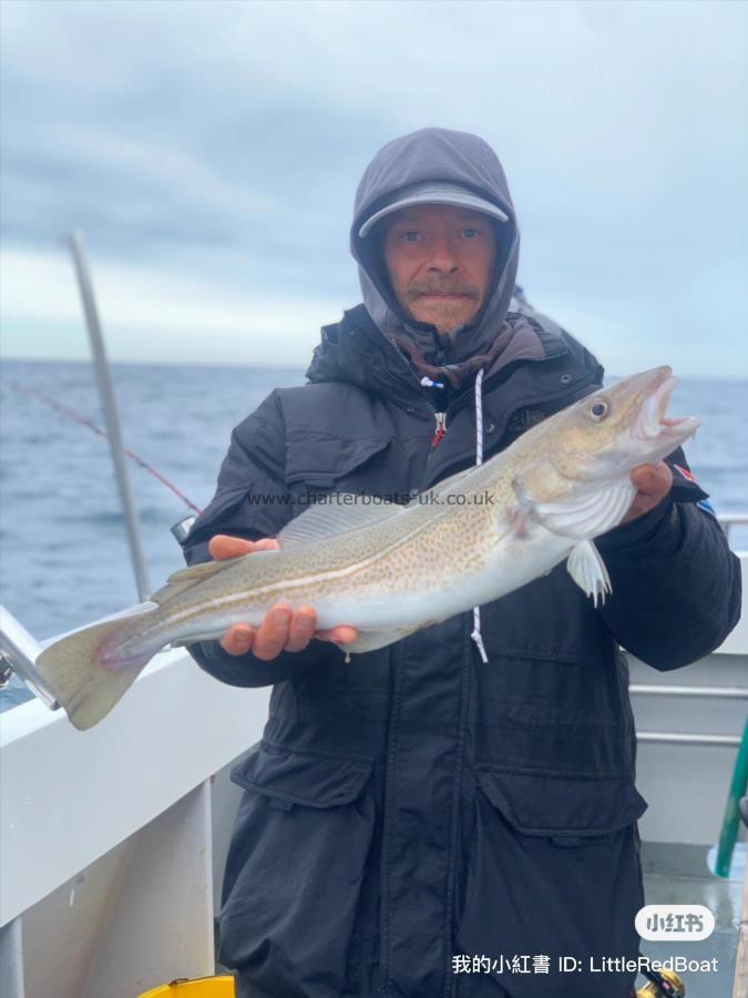 4 lb 6 oz Cod by Unknown