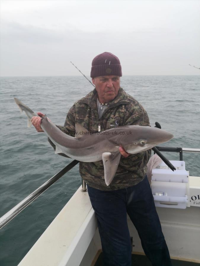 14 lb Tope by Steve