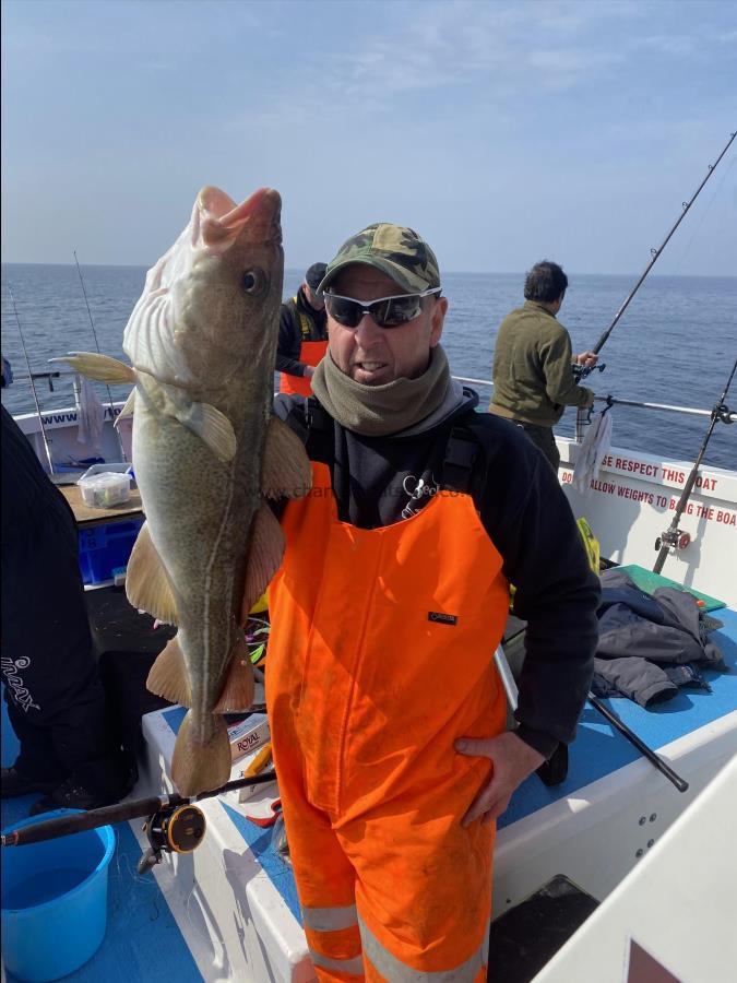 7 lb 2 oz Cod by Dave Sharp.