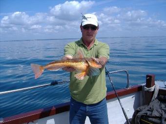 3 lb 2 oz Tub Gurnard by Rob Dawson