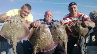 15 lb Thornback Ray by Unknown