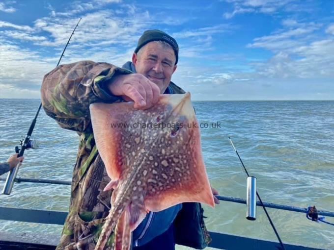 5 lb Thornback Ray by Unknown