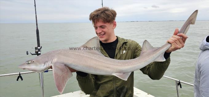 14 lb Starry Smooth-hound by Billy