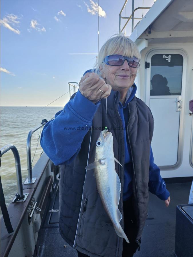 1 lb Whiting by Pauline