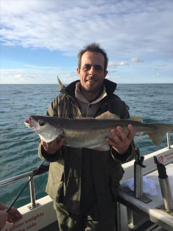 9 lb 1 oz Pollock by Unknown