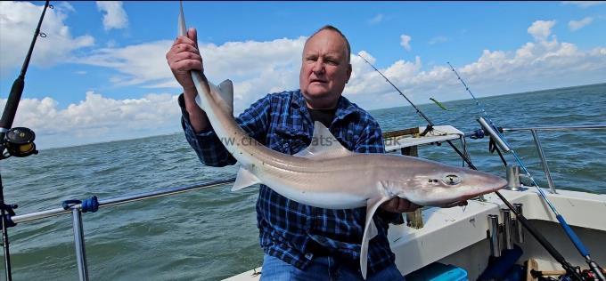 9 lb 14 oz Smooth-hound by Colin