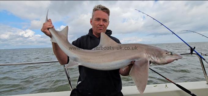 17 lb 4 oz Smooth-hound (Common) by Alan