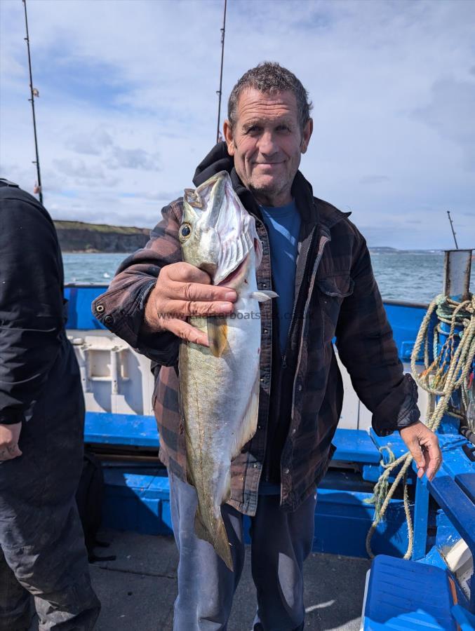 5 lb 2 oz Pollock by Unknown