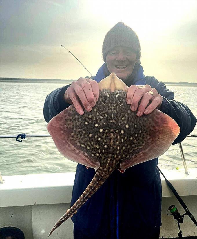 5 lb Thornback Ray by Steve