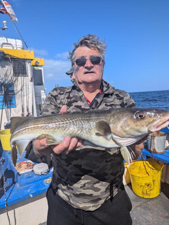 3 lb 8 oz Cod by Unknown