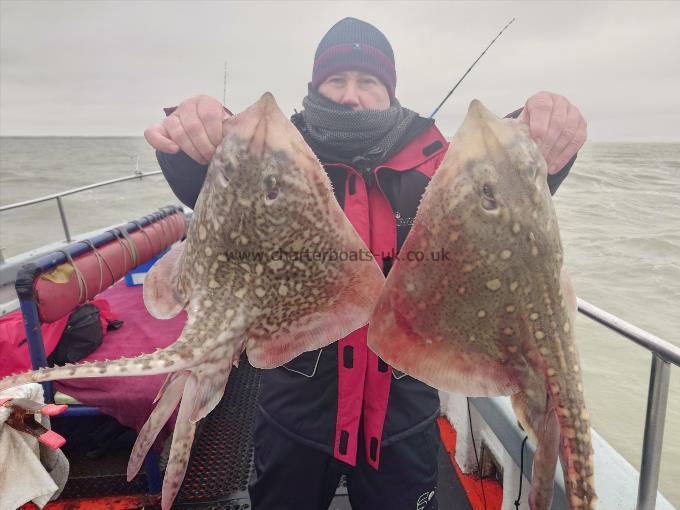 6 lb Thornback Ray by David