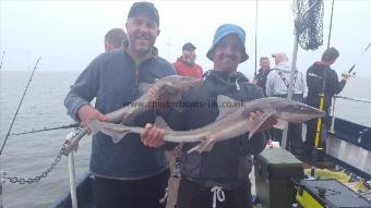 9 lb Starry Smooth-hound by Gasman1