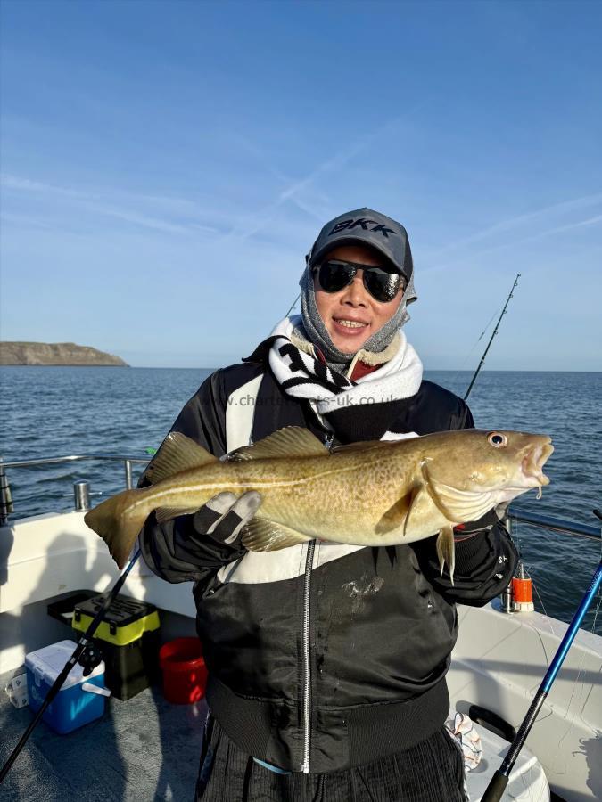 4 lb 8 oz Cod by Alan Group