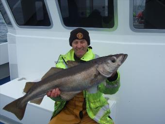 14 lb Pollock by clive bonneyface