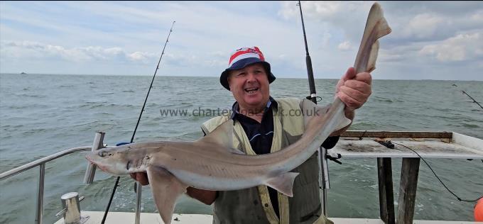 12 lb 2 oz Smooth-hound (Common) by Bill