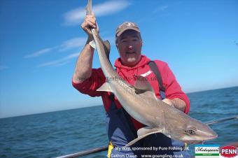 12 lb Starry Smooth-hound by Midge