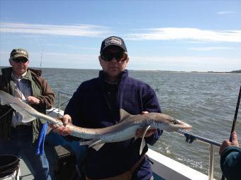 7 lb Starry Smooth-hound by Tony Lever