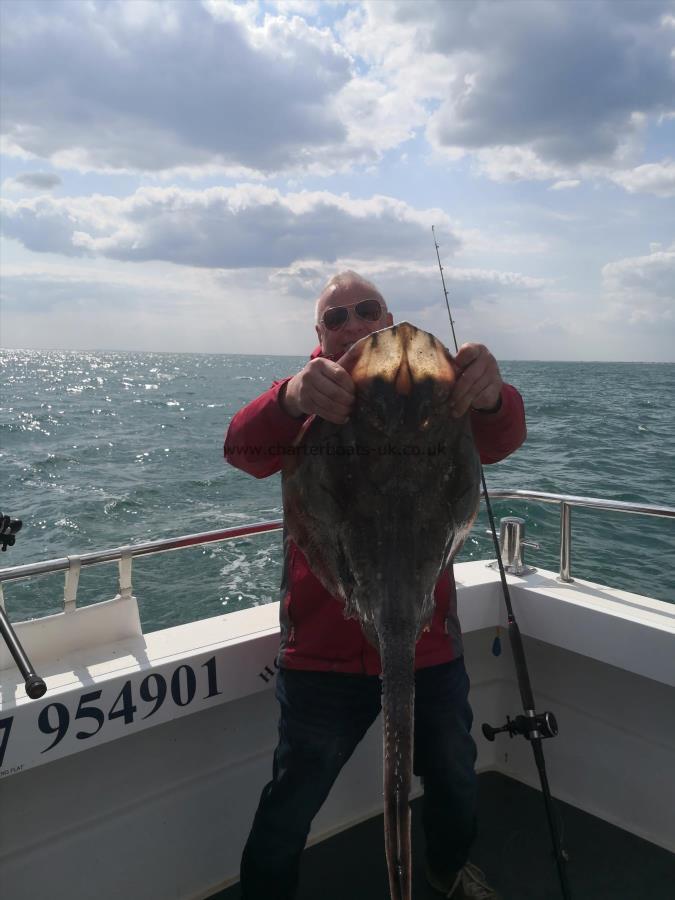 15 lb Undulate Ray by Tom