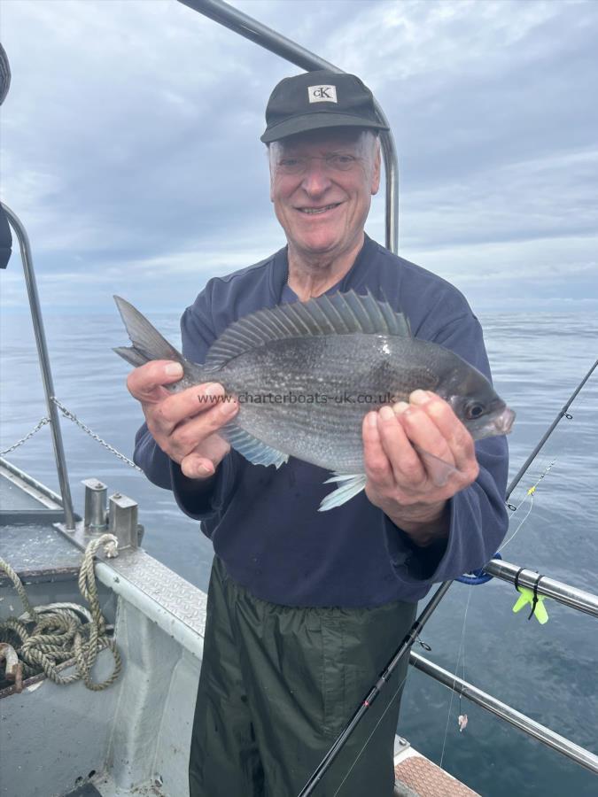 3 lb 1 oz Black Sea Bream by Unknown