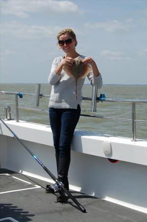 2 lb Thornback Ray by Unknown