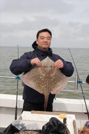 12 lb 4 oz Thornback Ray by Unknown