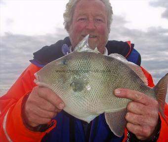 2 lb 6 oz Trigger Fish by Unknown