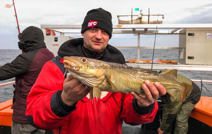 3 lb 6 oz Cod by Pietr