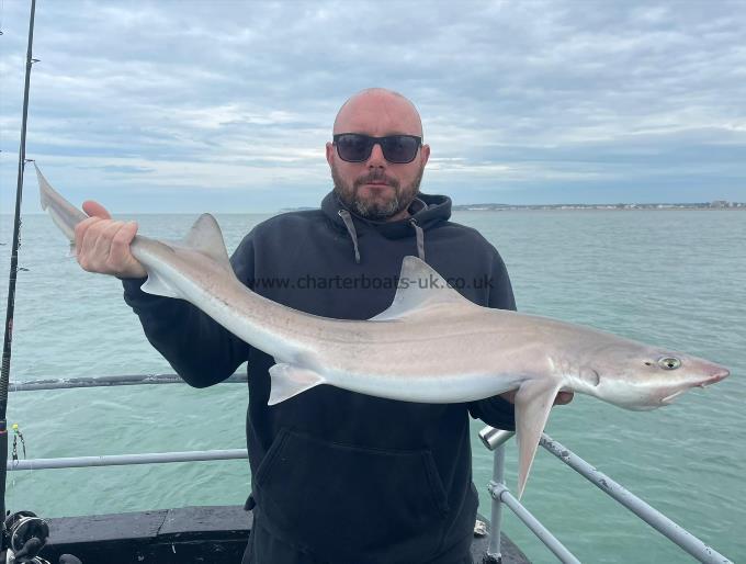 11 lb Smooth-hound (Common) by Unknown