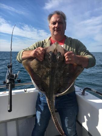 9 lb Undulate Ray by Unknown