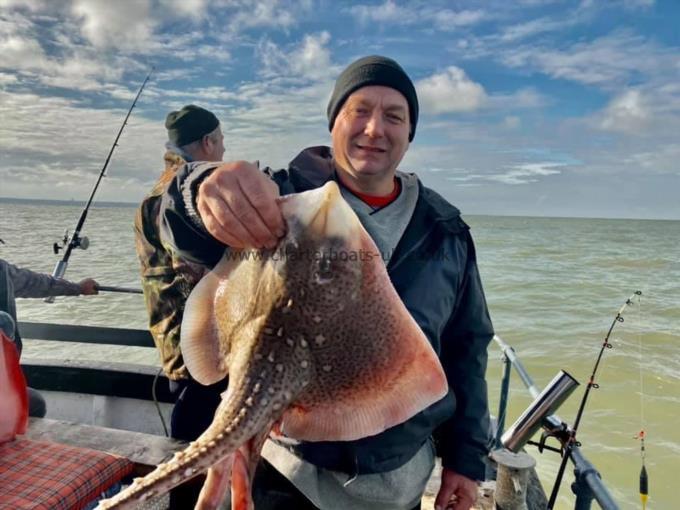 6 lb Thornback Ray by Unknown